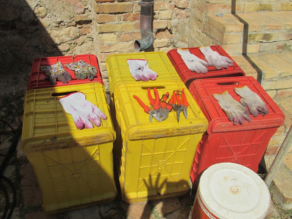 gloves-and-clipers-on-crates